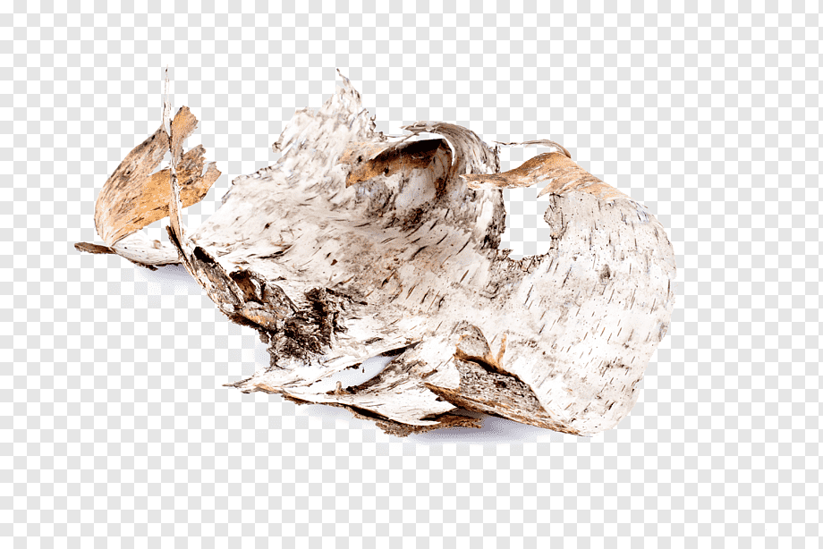 Lemongrass Birch Bark Cream (100 g)