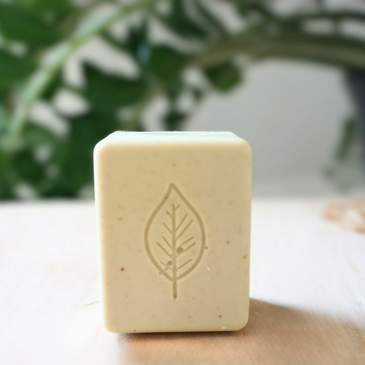 Renew Bar (shipping Sept 18)