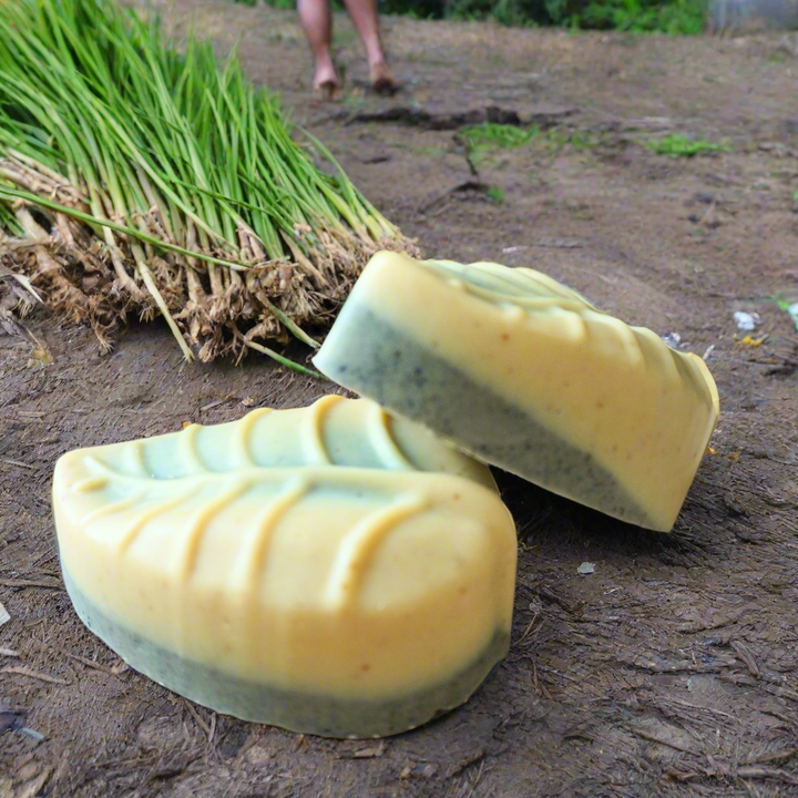 Birch Bark Charcoal Lemongrass Glow Bar - leaf (limited)