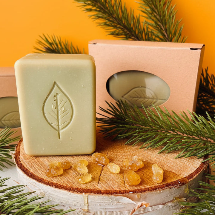 Pine Birch Bark Bar
