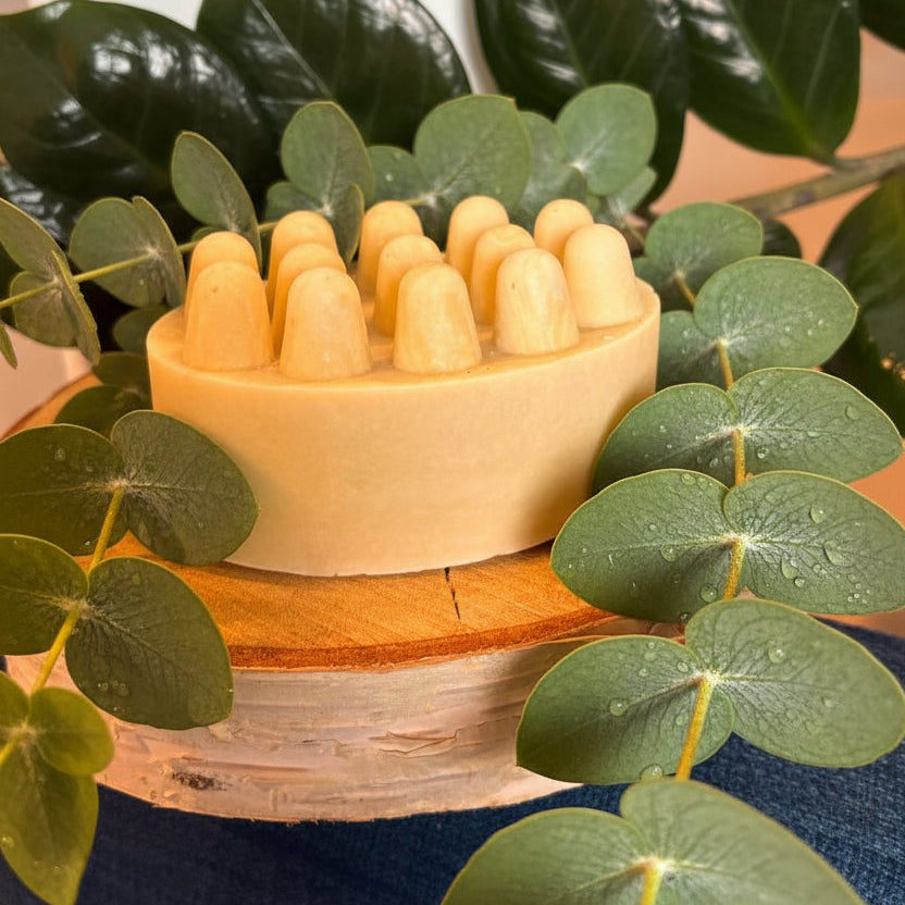 Eucalyptus Birch Bark Massage Bar