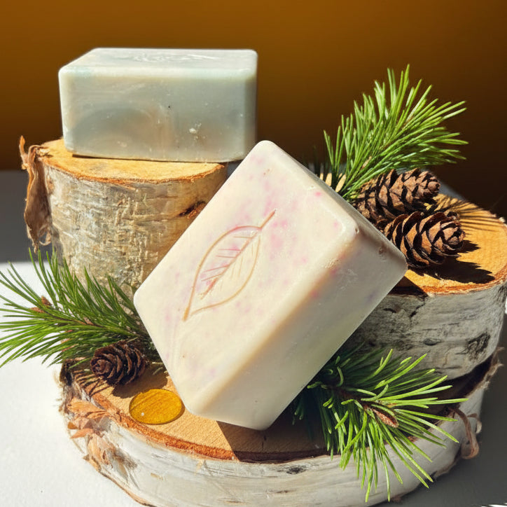 Pine Birch Bark Bar